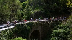 为什么选择我们